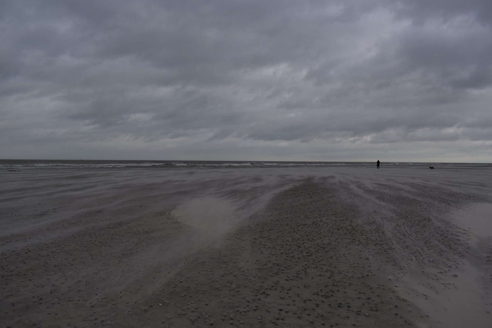 Langeoog Januar 2018 (60)