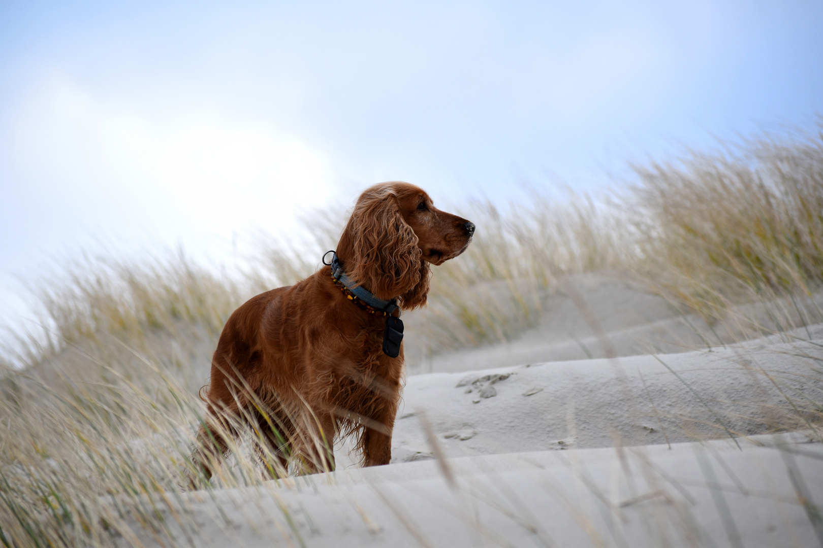 Langeoog Januar 2018 (7)