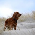 Langeoog Januar 2018 (7)