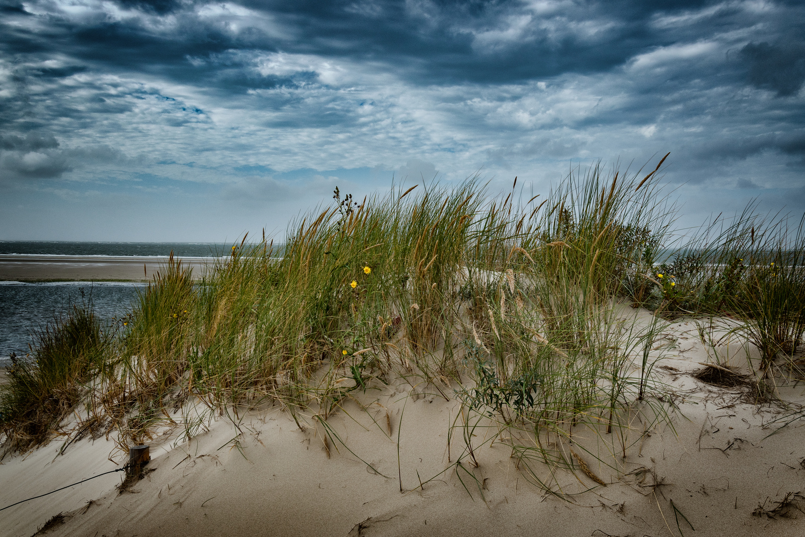 Langeoog - Moment