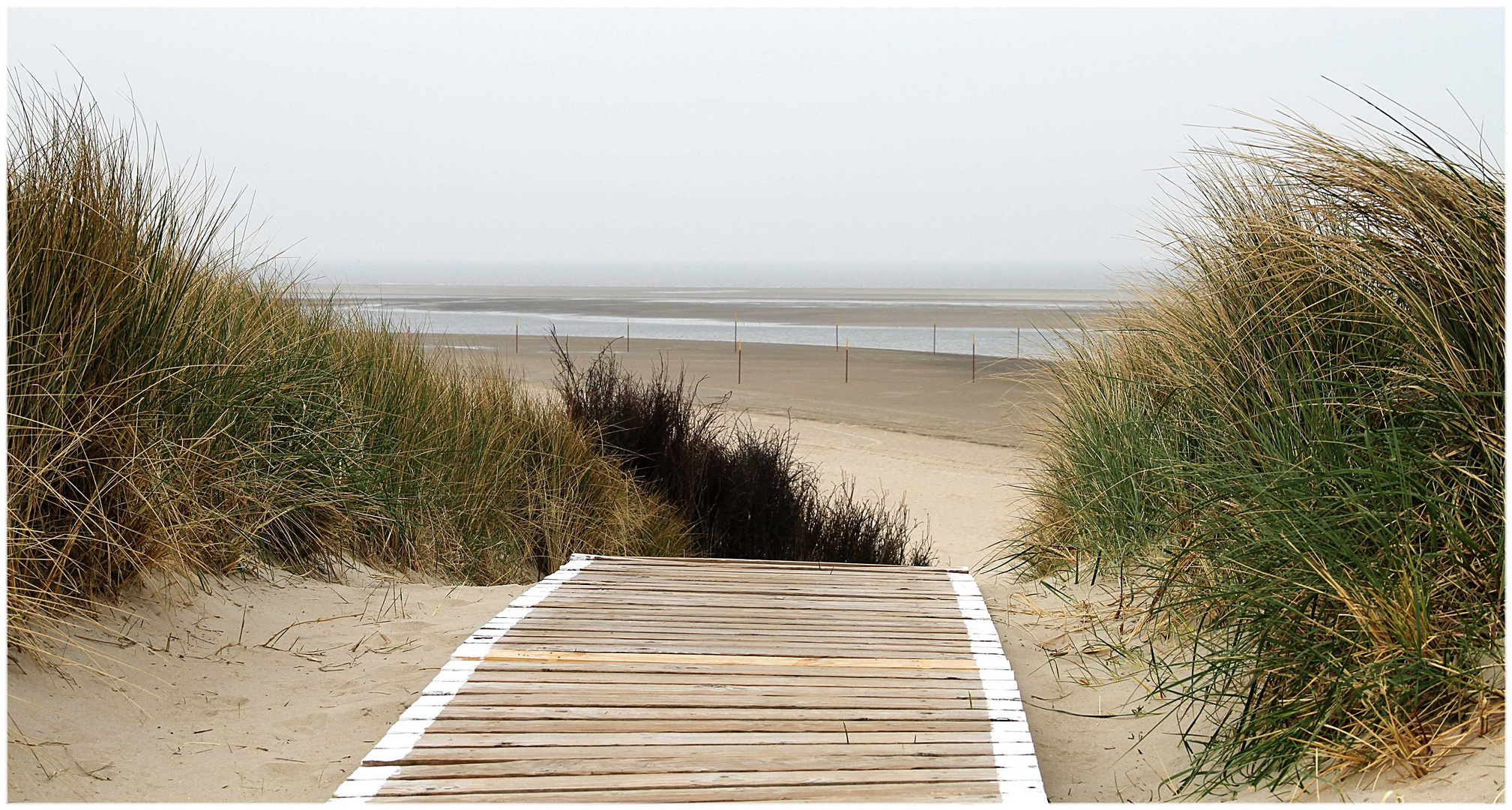 Langeoog ... nach dem Frühstück