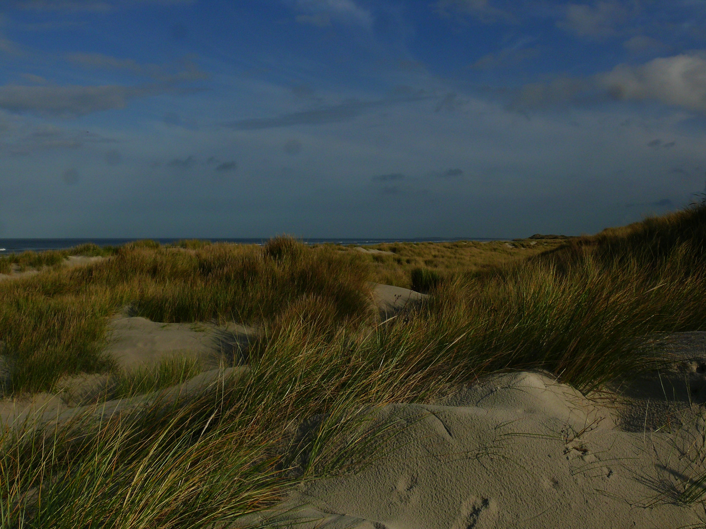 Langeoog November 2009