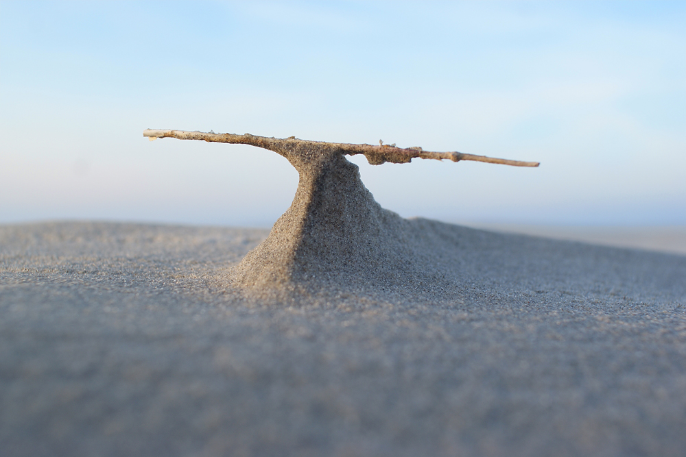 Langeoog - Strandstier oder Walflosse