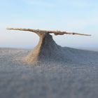 Langeoog - Strandstier oder Walflosse