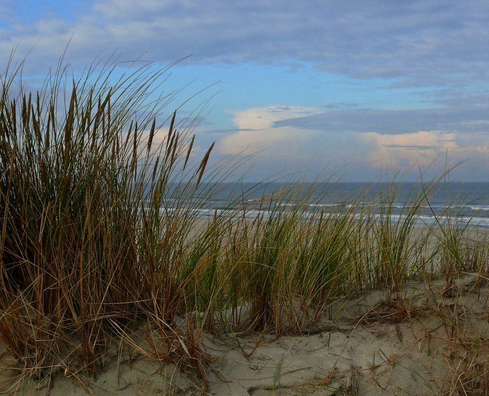 Langeoog, suchen