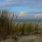 Langeoog, suchen