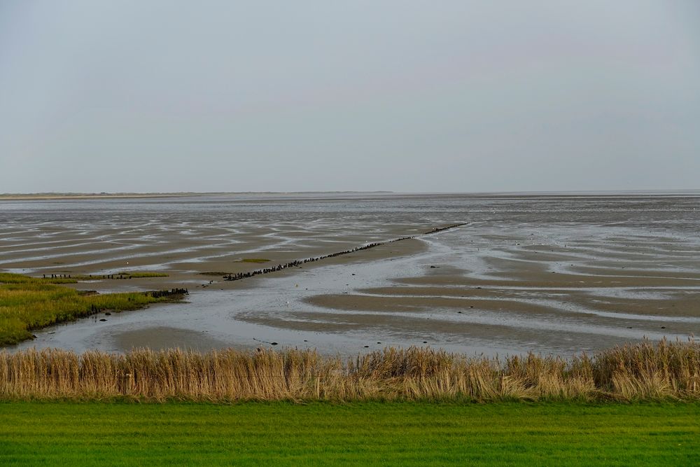 Langeoog - Süd-Deich