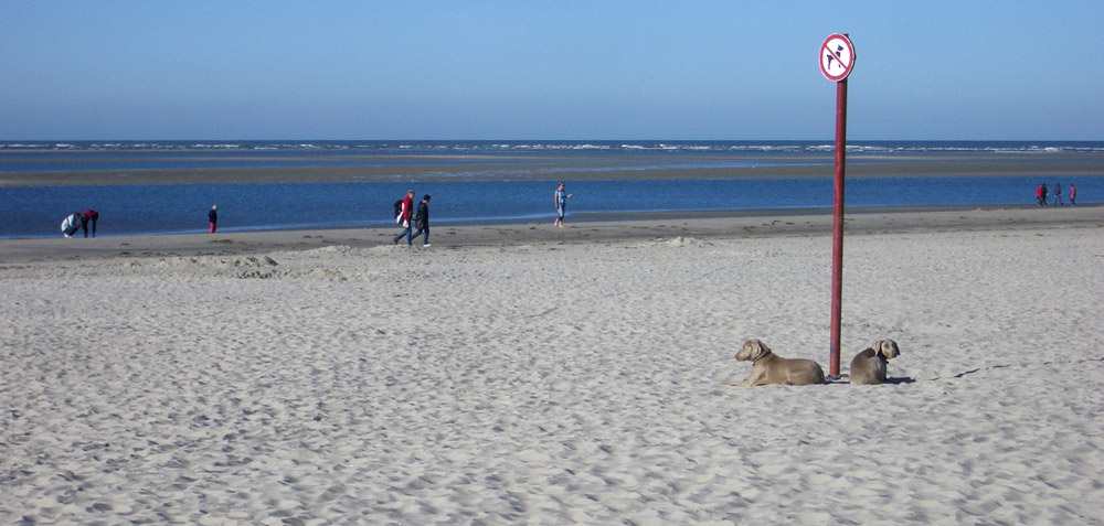 Langeoog: Wir wissen, was sich gehört