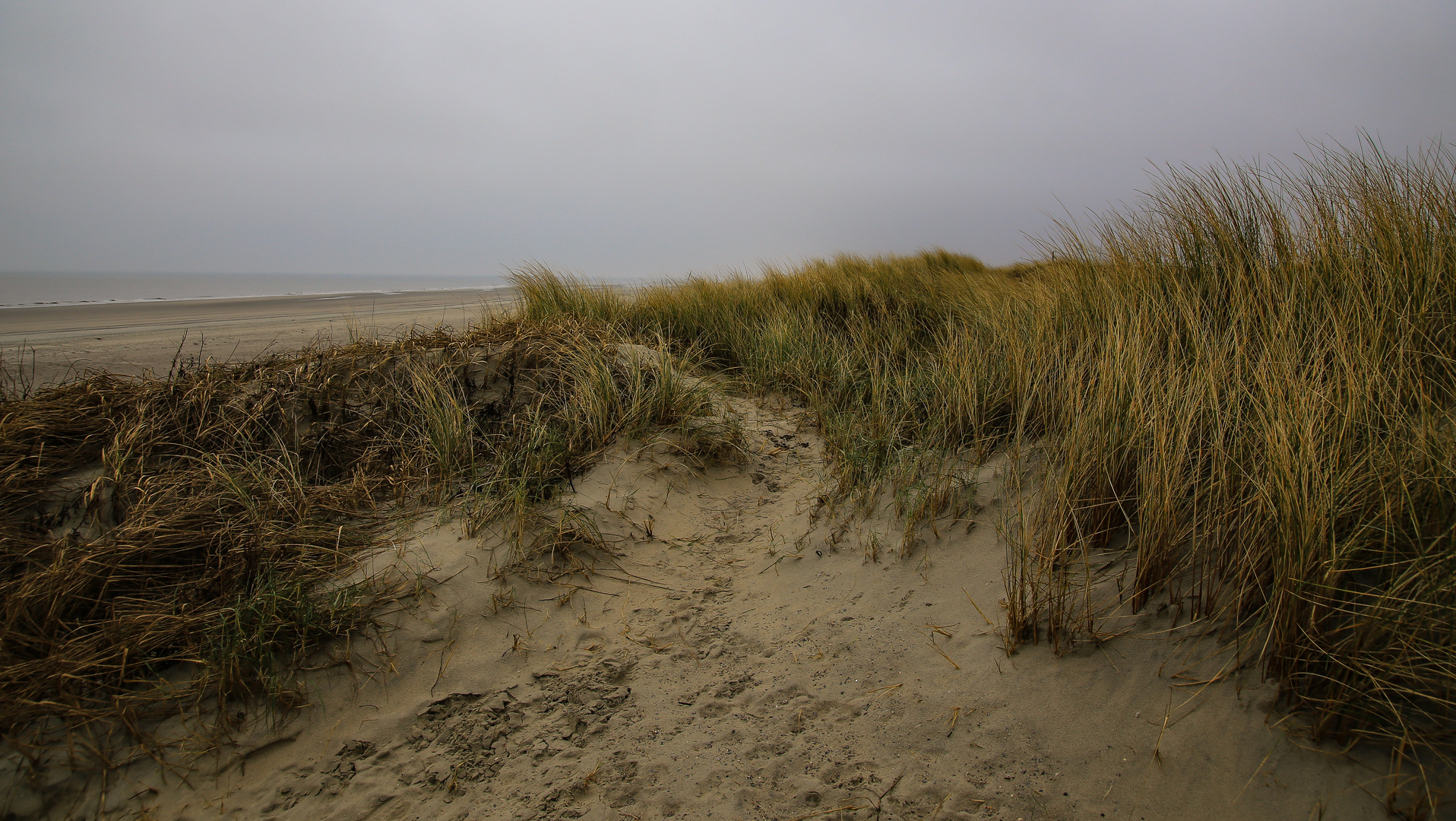 Langeoog...2018...012...6D