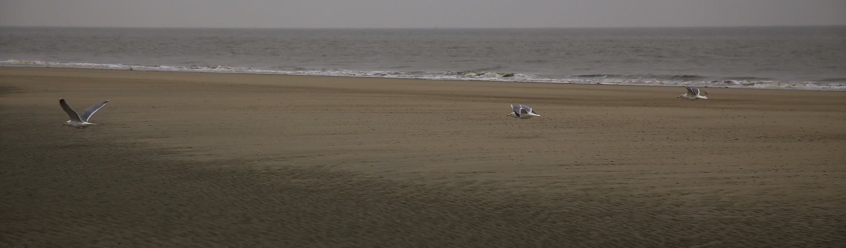 Langeoog...2018...025...6D