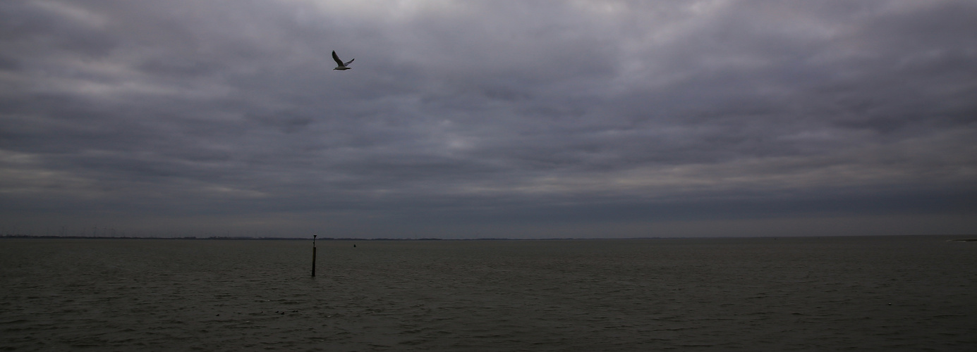 Langeoog...2018...039...6D