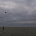 Langeoog...2018...039b...6D