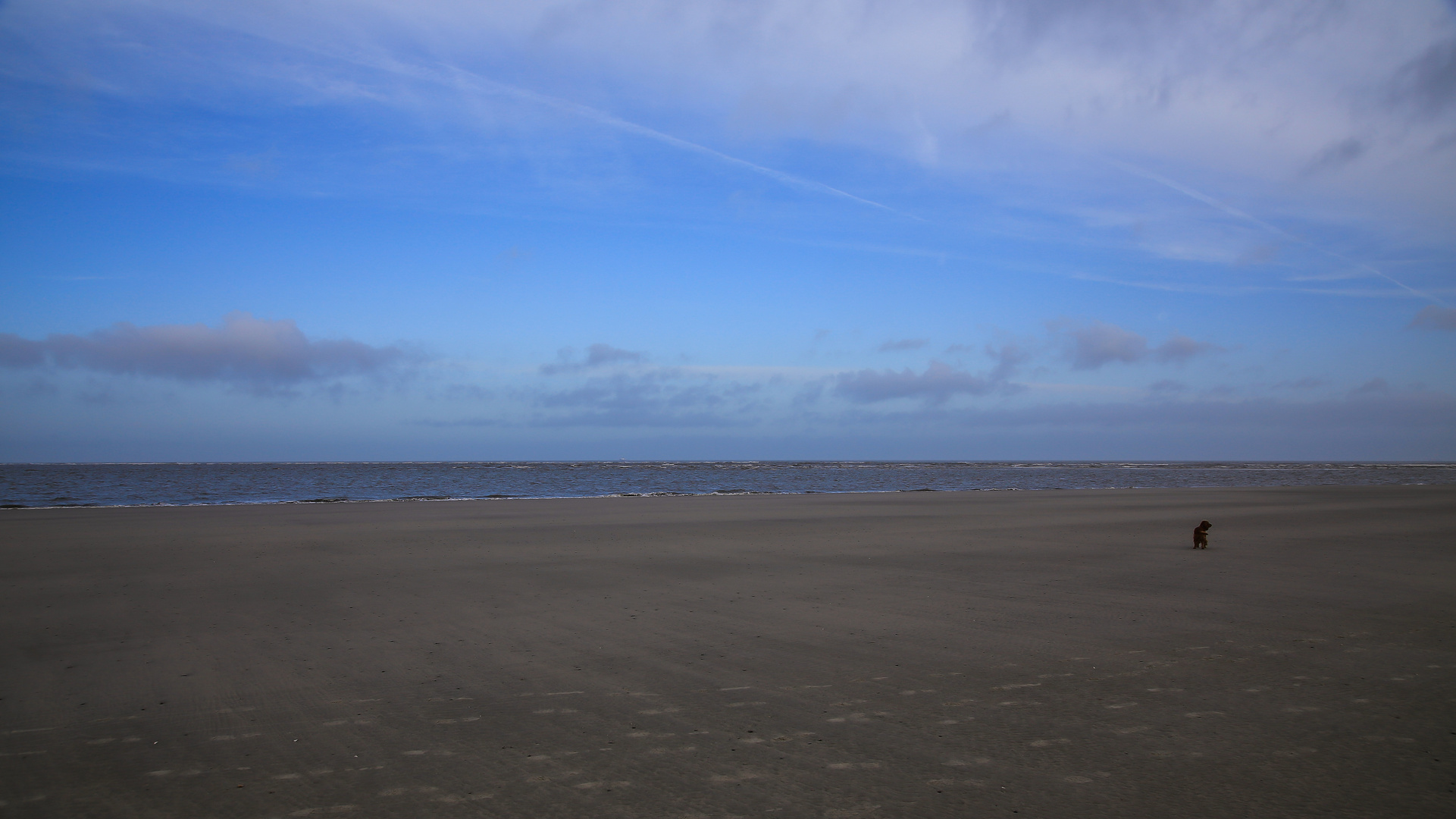 Langeoog...2018...062...6D