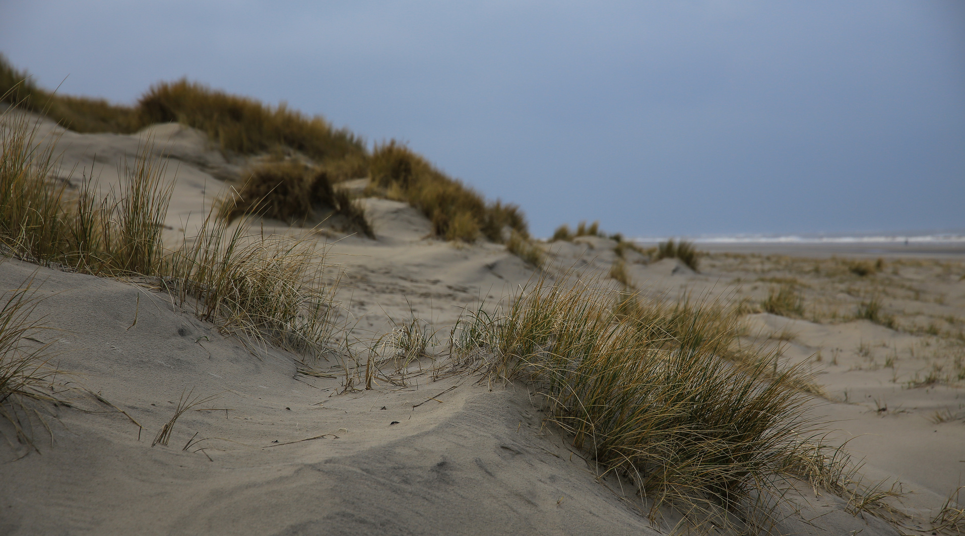 Langeoog...2018...080...6D