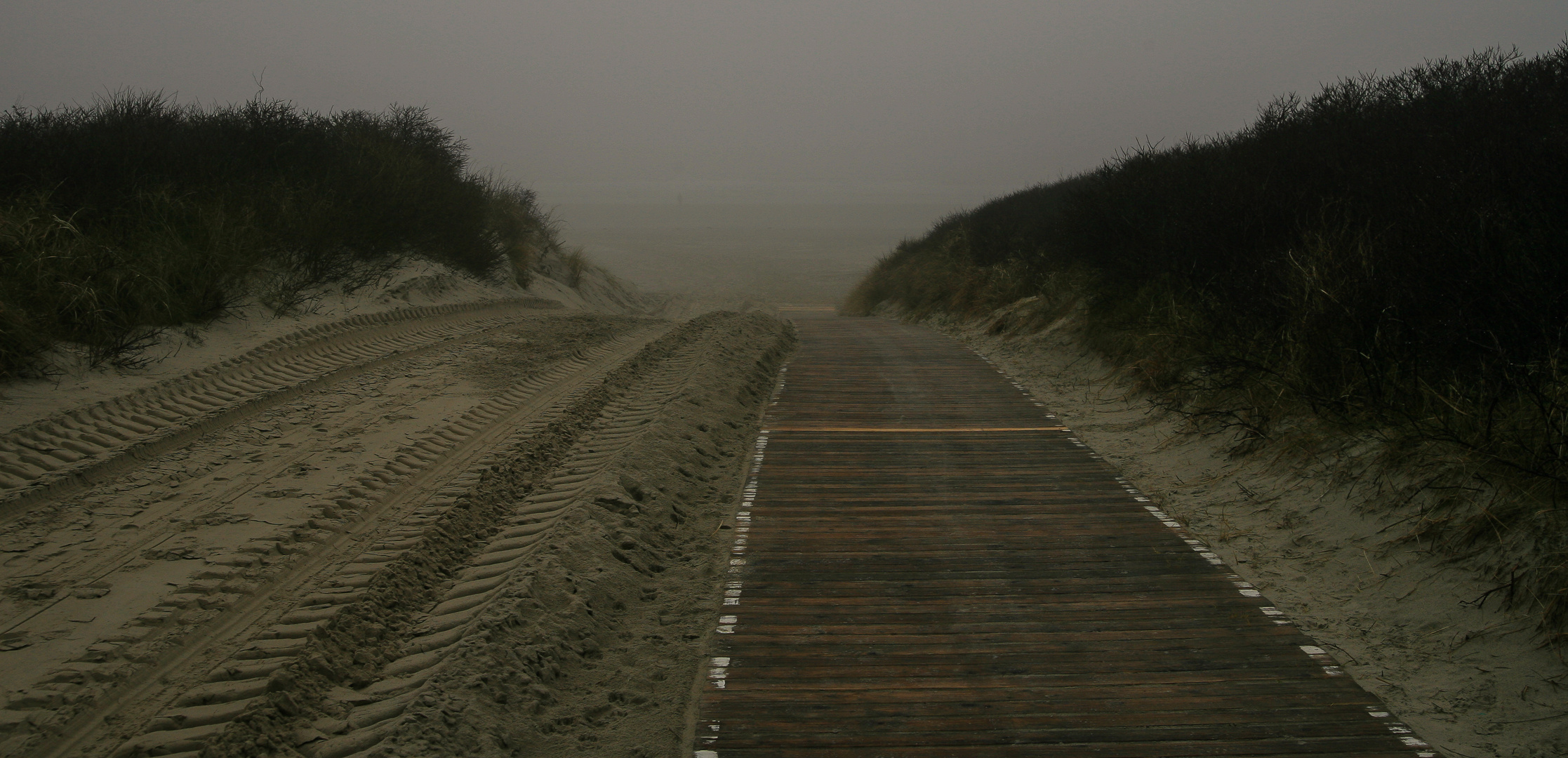 Langeoog...2018...096...1D