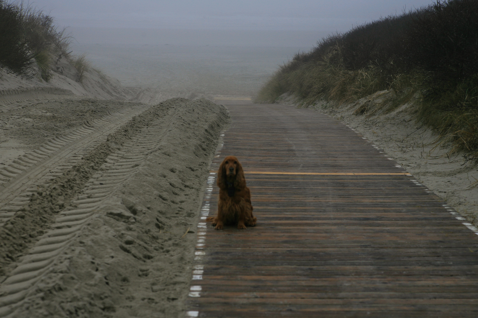 Langeoog...2018...098...1D