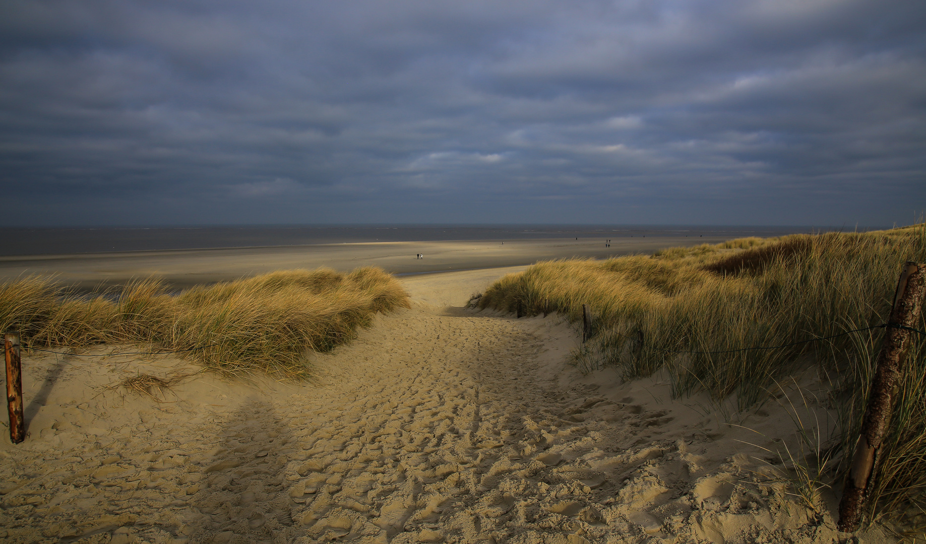 Langeoog...2018...105...6D