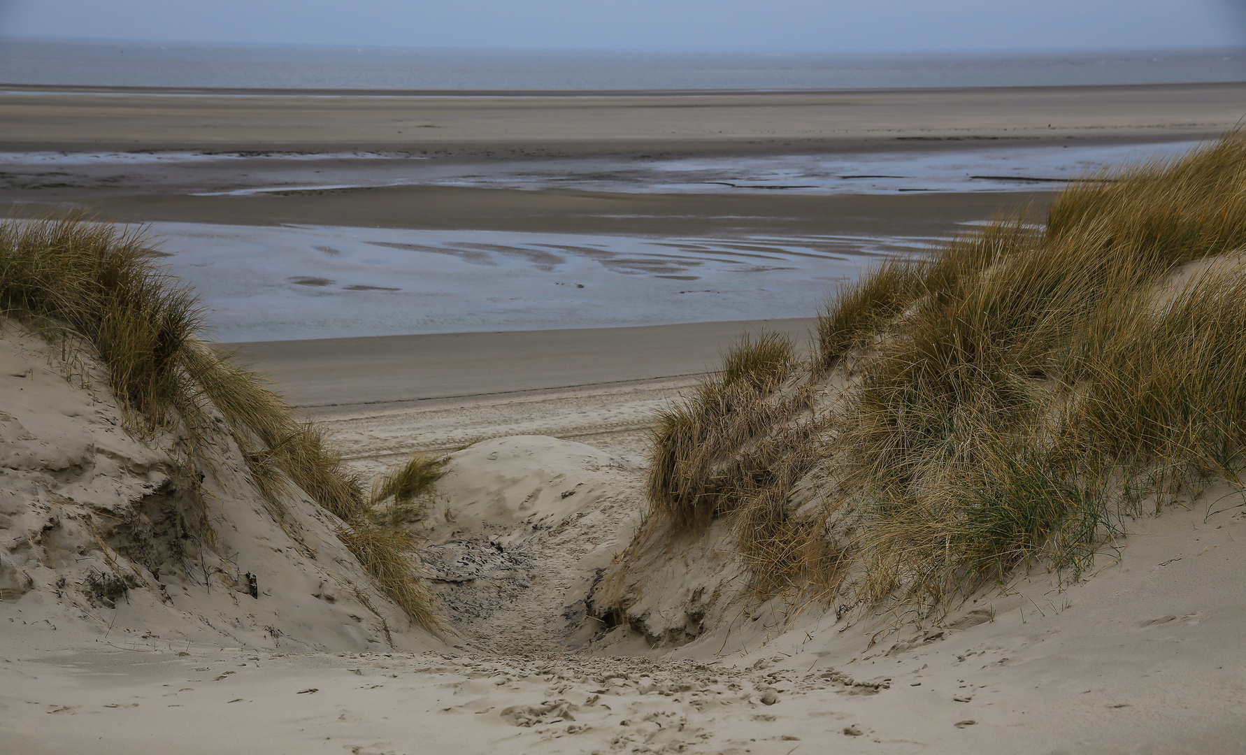 Langeoog...2018...114...6D