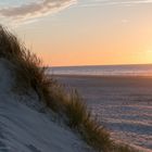 Langeooger Dünen am Abend