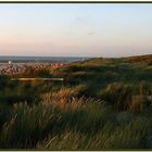 Langeooger Dünen in der Abendsonne