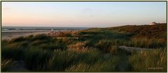 Langeooger Dünen in der Abendsonne