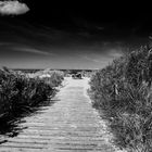 Langeoog_III