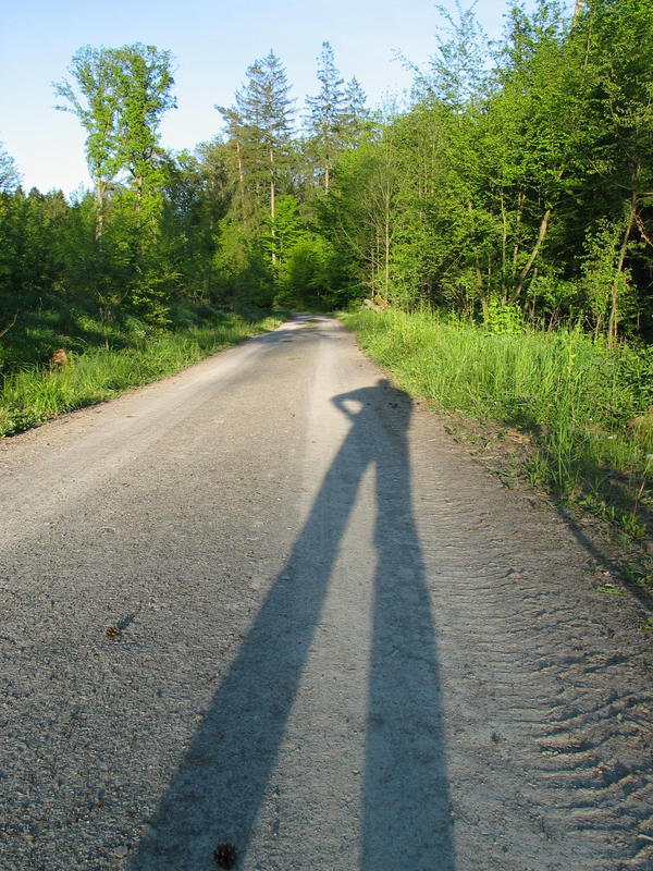 Langer Kerl mit langem Schatten