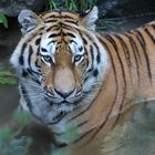 Langer Samstag im Zürcher-Zoo