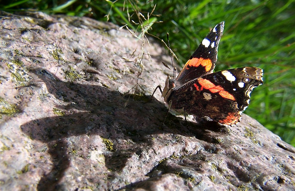 langer Schatten