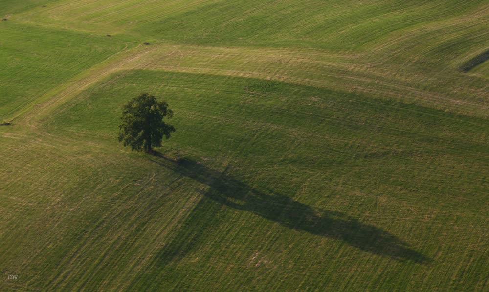 langer Schatten