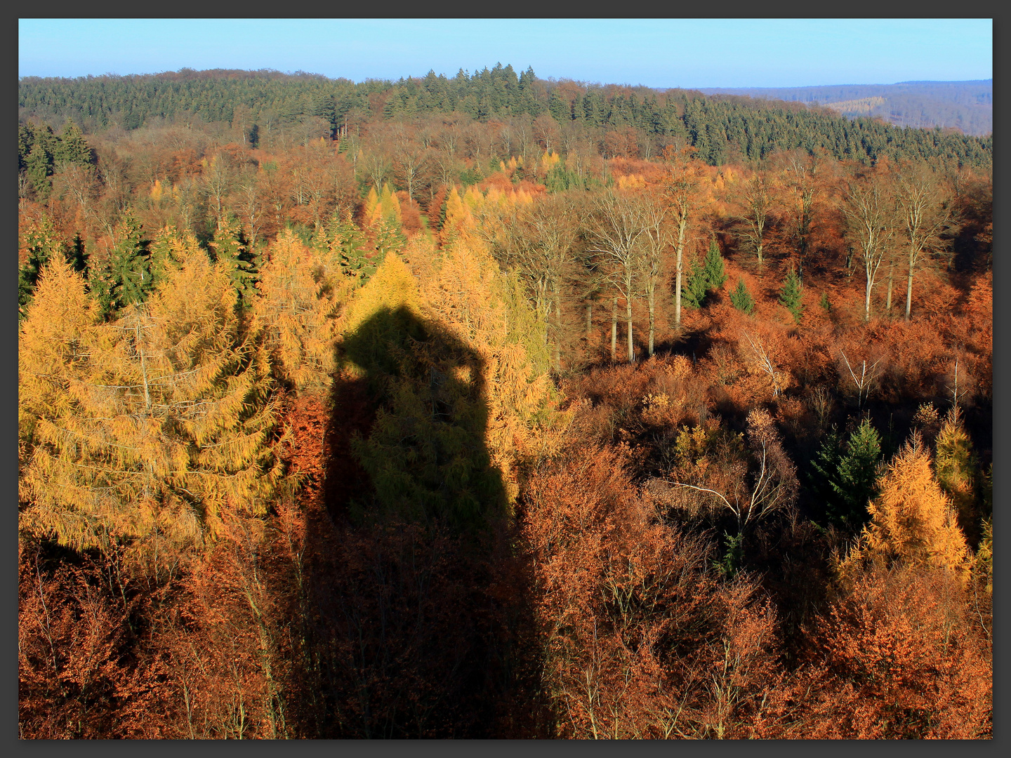 -Langer Schatten...in den bunten Baumkronen-