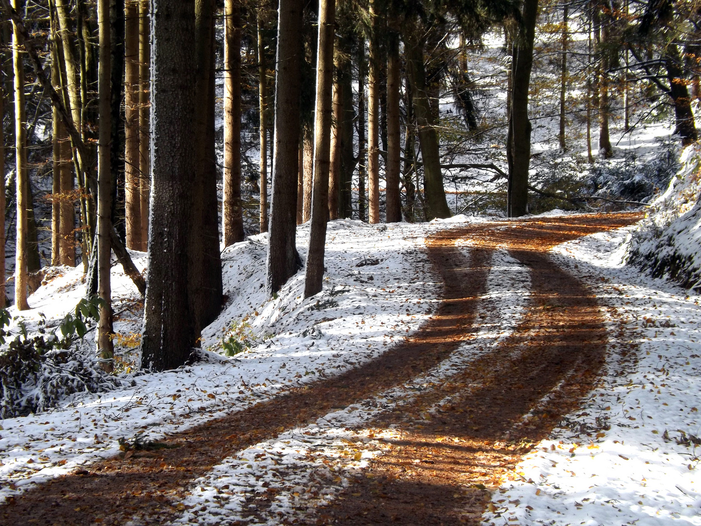 Langer Wanderweg