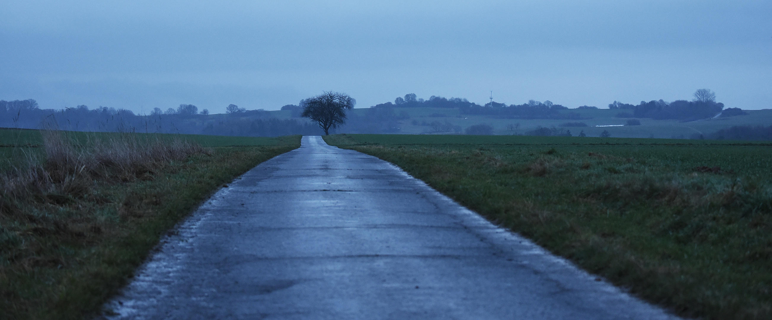 Langer Weg nach Hause