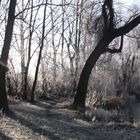 Langerringer Baggersee