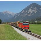 Langes Holz auf schmaler Spur