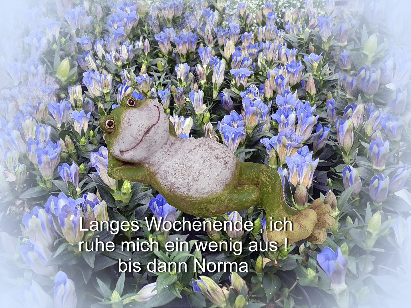 Langes Wochenende !!!! ich ruhe mich ein wenig aus ,bis dann Norma Foto & Bild stillleben
