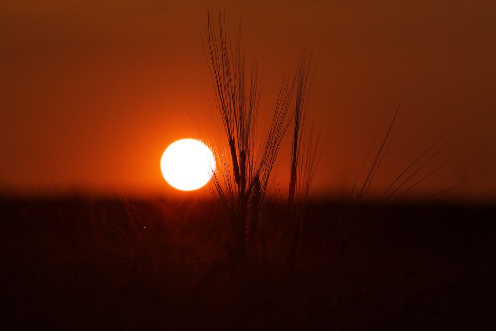 Langeweile am Abend...