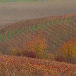 langhe