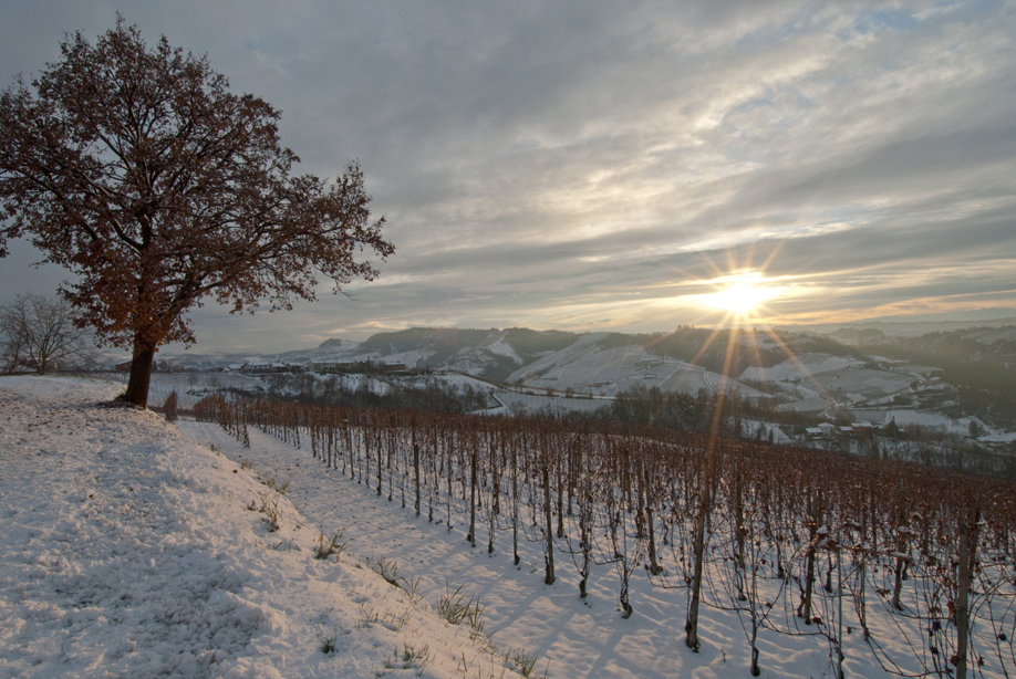 Langhe