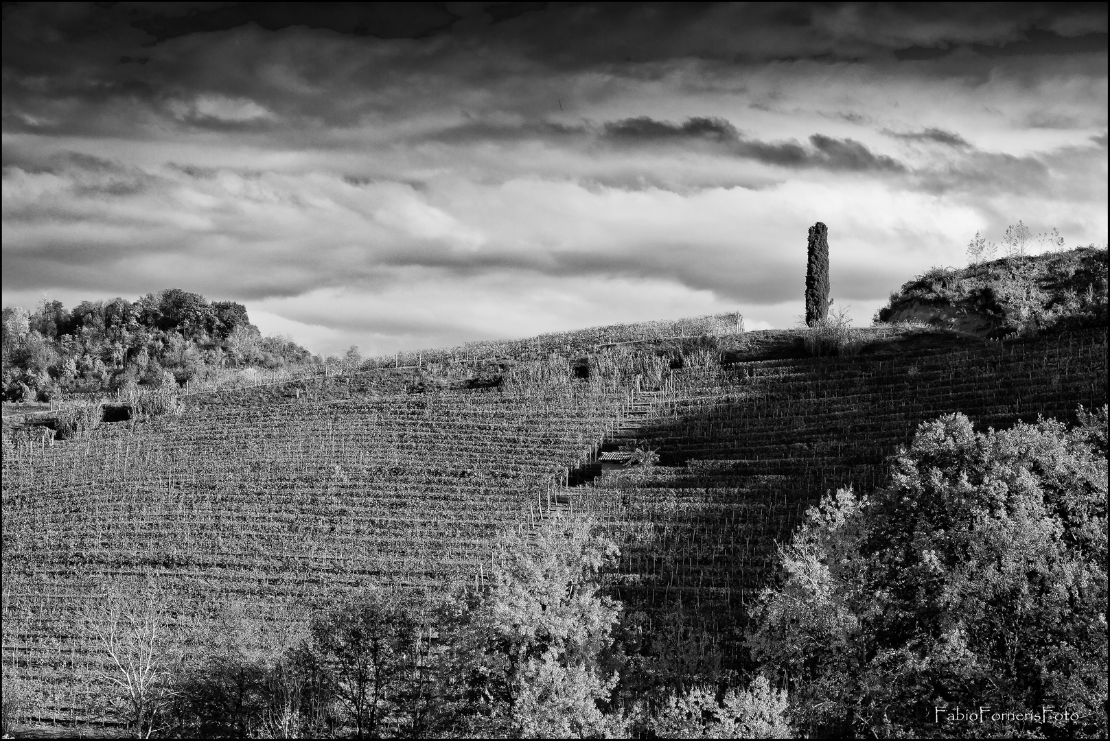 Langhe b/w