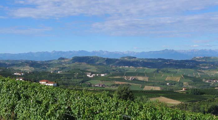 Langhe con montagne cuneesi 1