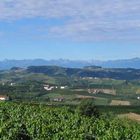 Langhe con montagne cuneesi 1