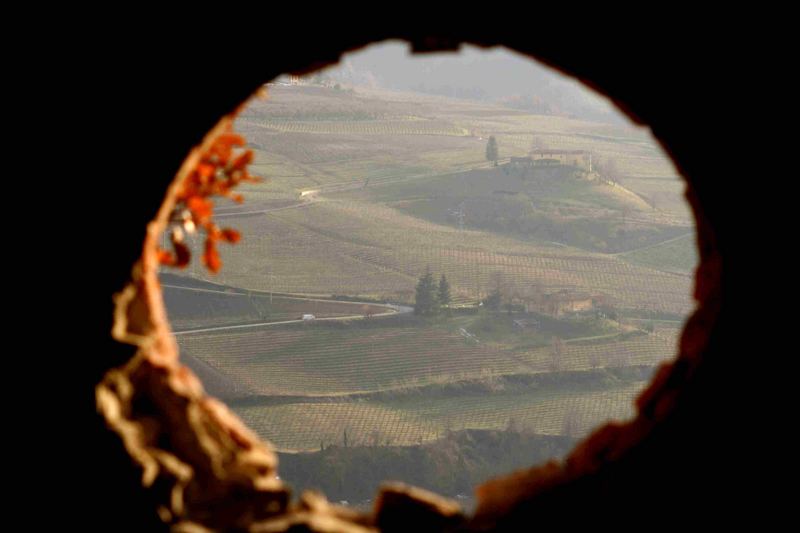 langhe hills