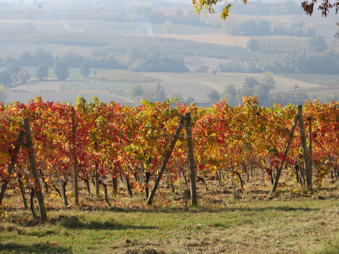 Langhe in autunno