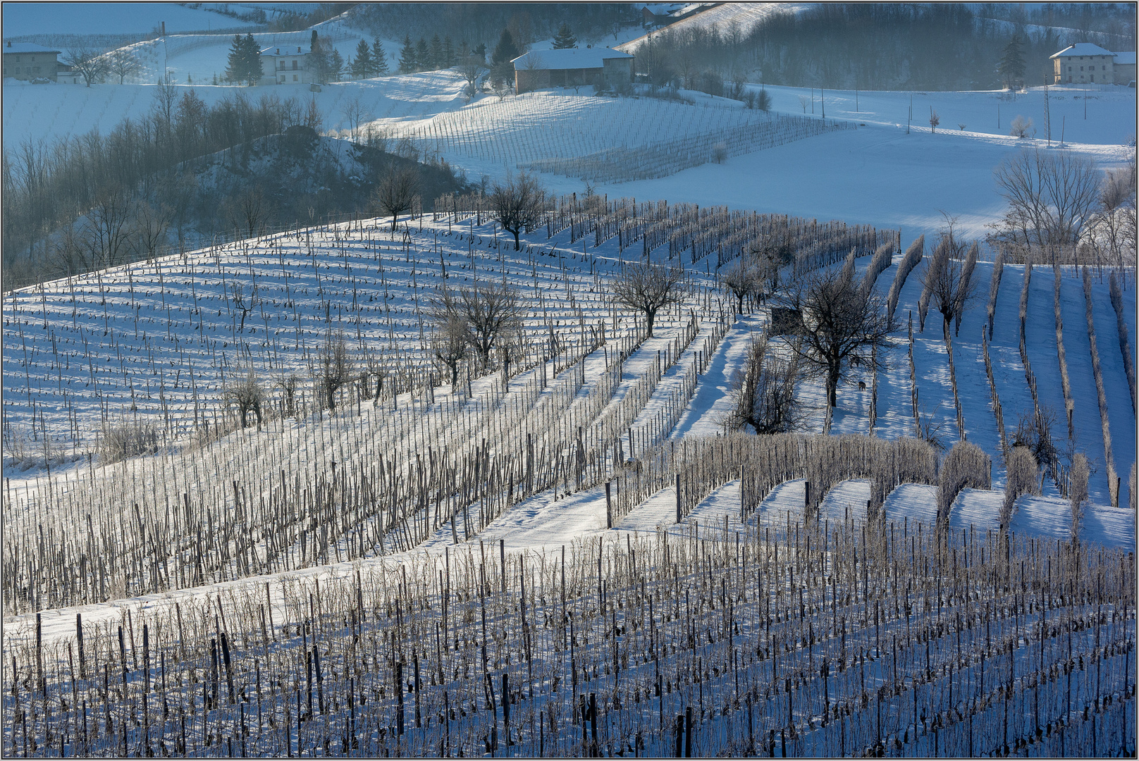 langhe innevate.