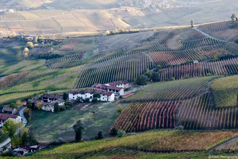 Langhe Piemontesi