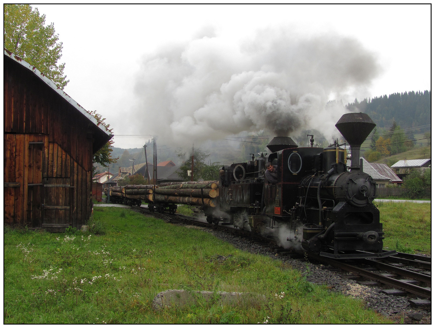 Langholz vor der Hütte