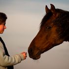 Langjährige Bekanntschaft