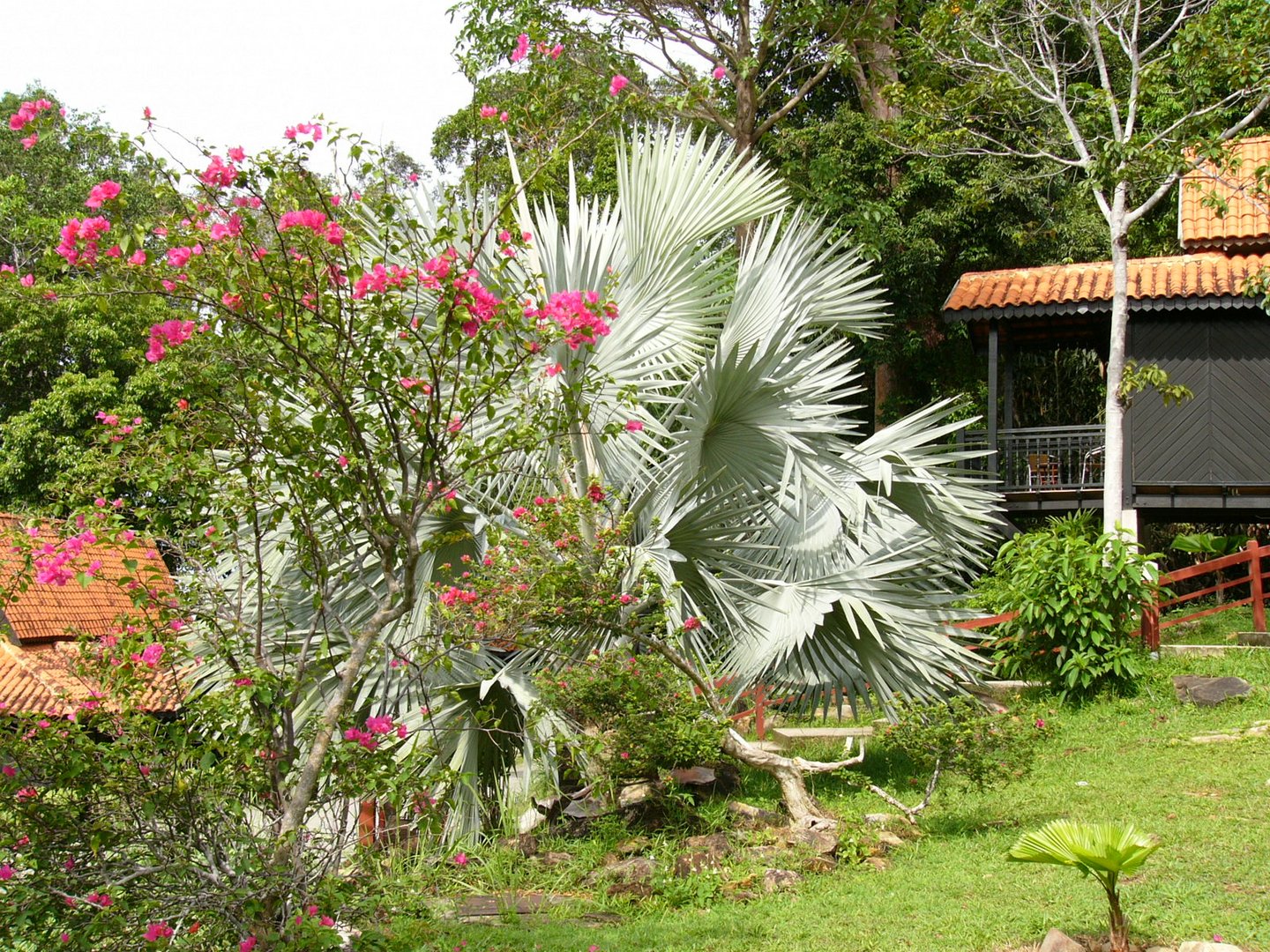 Langkawi - Malaysia