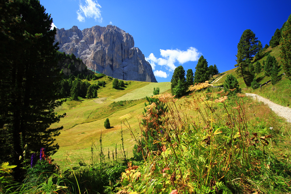 Langkofel